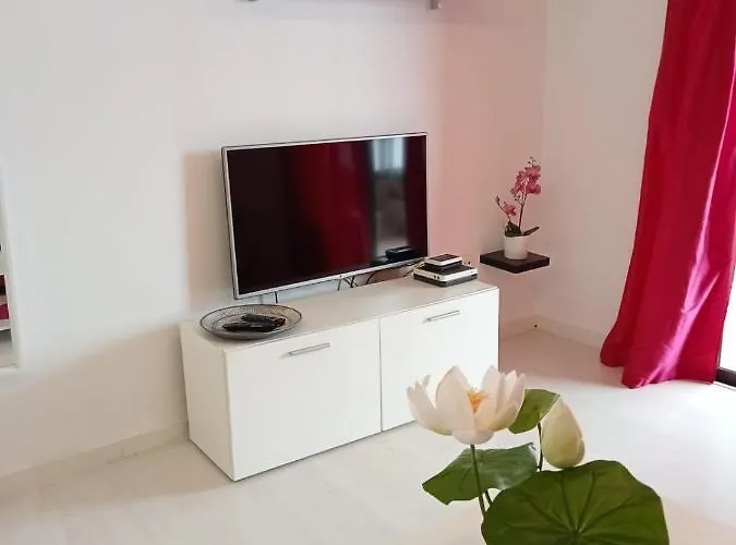 En Primera Linea De Mar