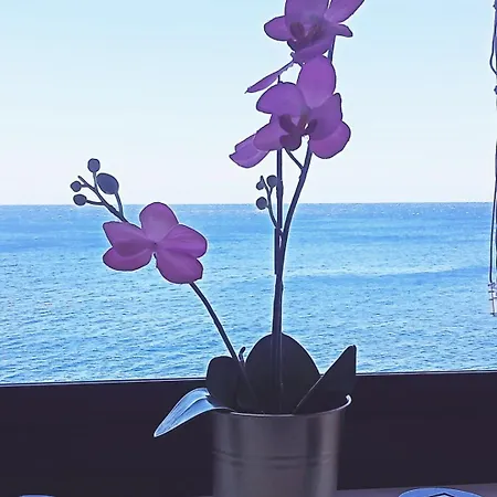 En Primera Línea De Mar