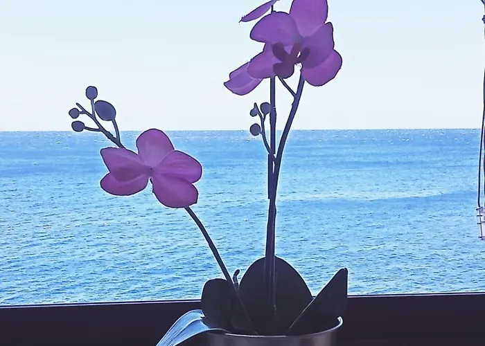 En Primera Linea De Mar